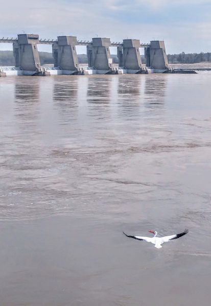 File:Environment.jpg