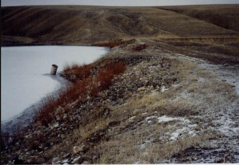 File:IDM3.jpg